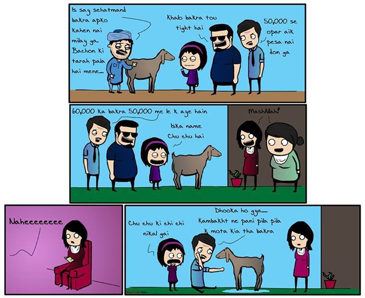 Mostly Happen On Bakra Eid - Eid Al Adha Funny Joke