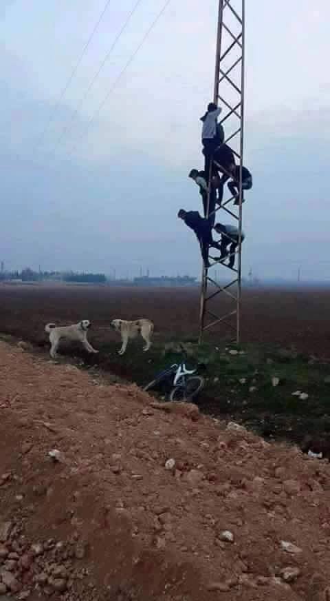 Mushkil Waqt Me Wapda Hi Kaam Aya