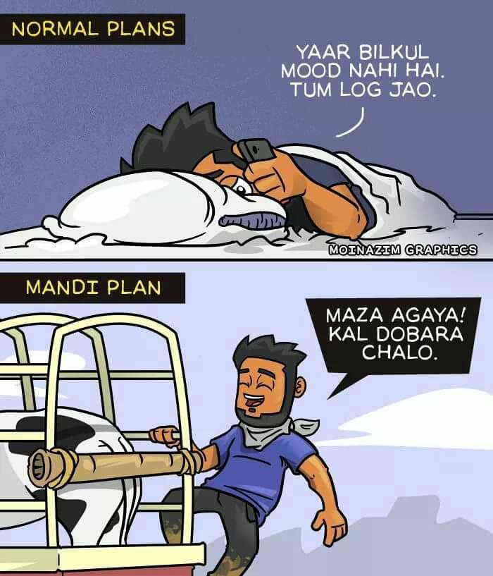 Normal Plans Vs Mandi Plan
