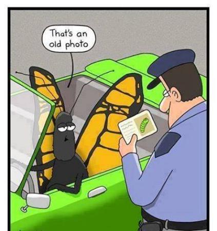 Oh Yeah .. That's An Old Photo