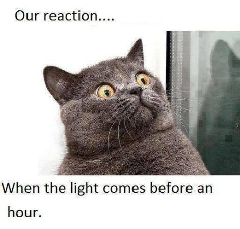 Our Reaction