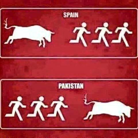 Pakistani Peoples In Bakra Eid Be Like