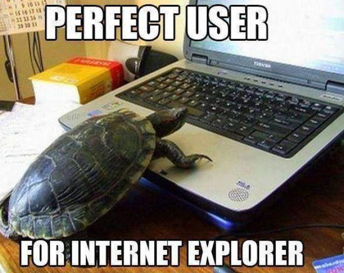 Perfect User For Internet Explorer