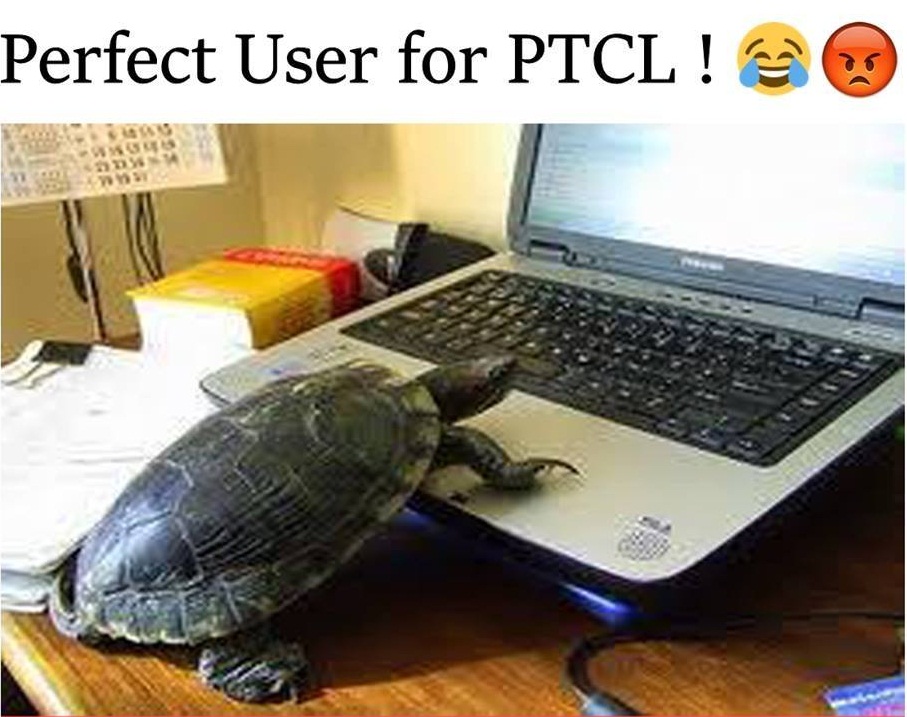 Perfect User For PTCL
