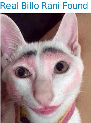 Real Billo Rani