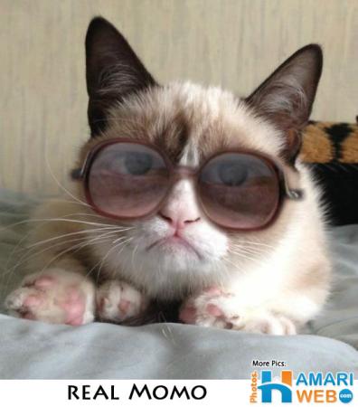 Real Momo