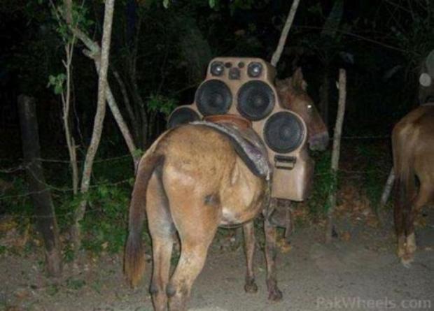 Ride with Stereo System