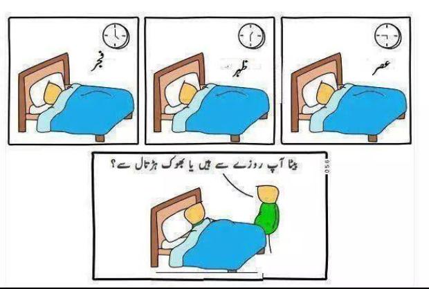 Roza ya Bhook Hartal