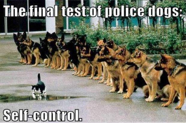 Self Control - Funny Images & Photos