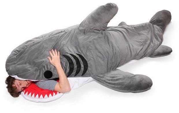 Shark Bed