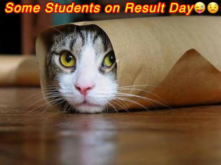 Some Students On Result Day - Funny Images & Photos Some Students On Result Day - Funny Images & Photos