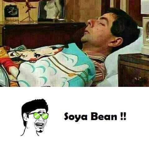 Soya Bean