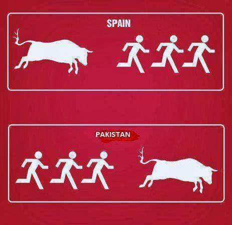 Spain vs Pakistan
