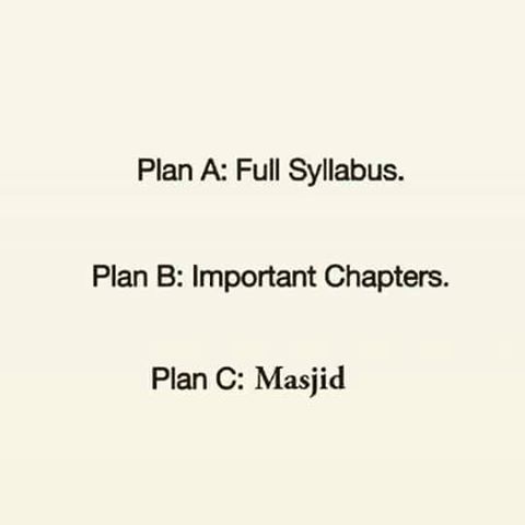 Student Plan Before Exams