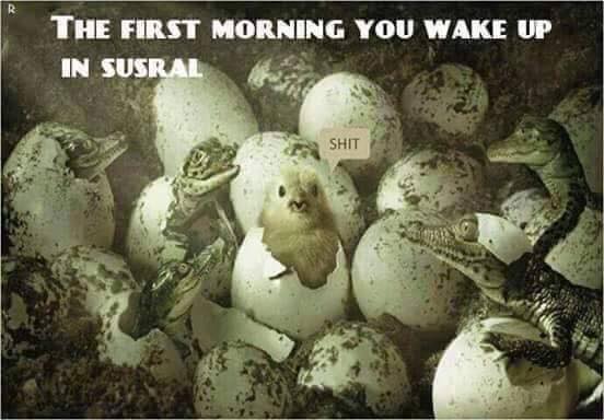 The First Morning You Wake up In Susral