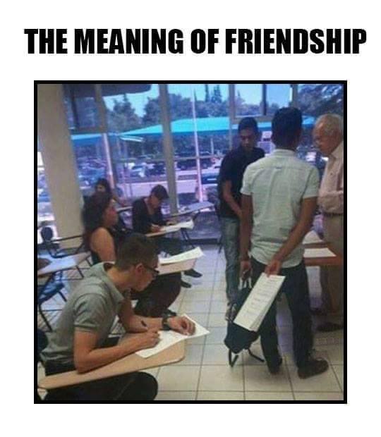 The Meaning Of Friendship