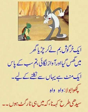 The Rabbit And The Turtle