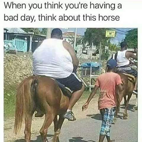 Think About This Horse