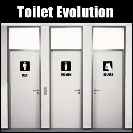 Toilet Evolution