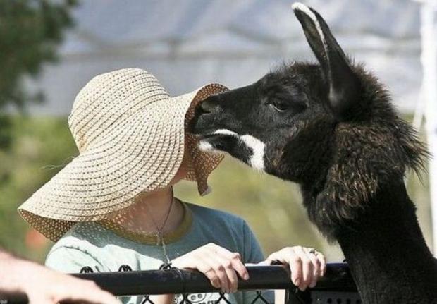 Tumhara moonh kahan hay?