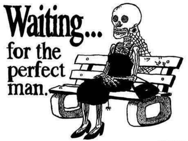 Waiting For The Perfect Man