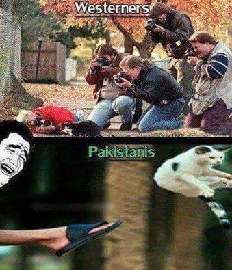 Westerners vs Pakistani