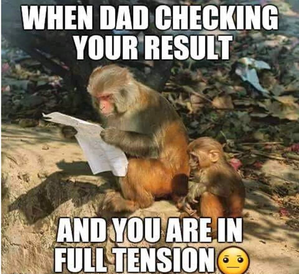 When Dad Checking Your Result