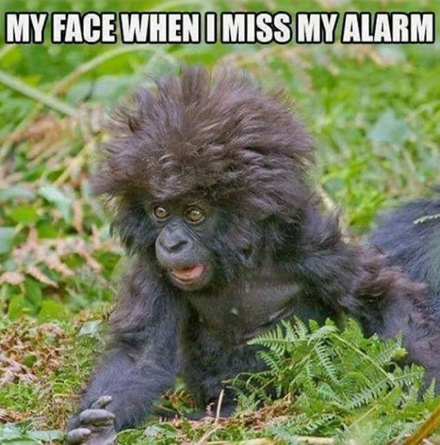 When I Miss My Alarm