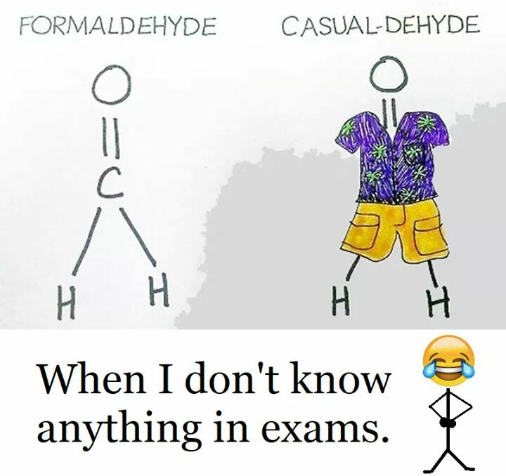 When You Dont know Anything In Exams