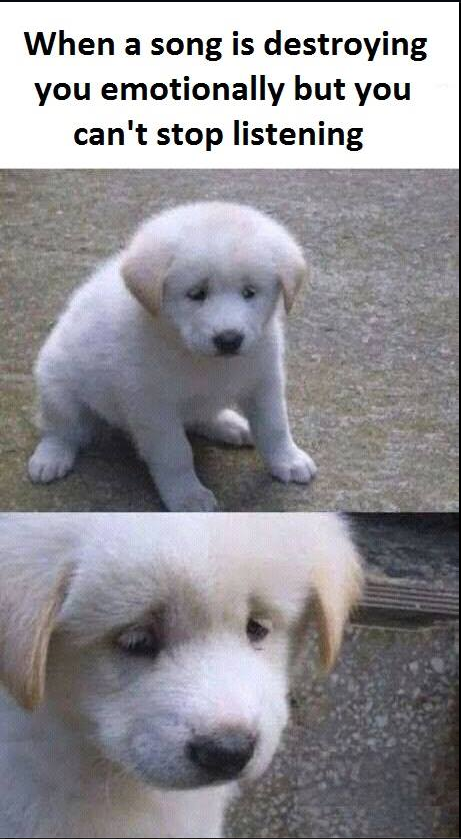 When You Listen An Emotional Song