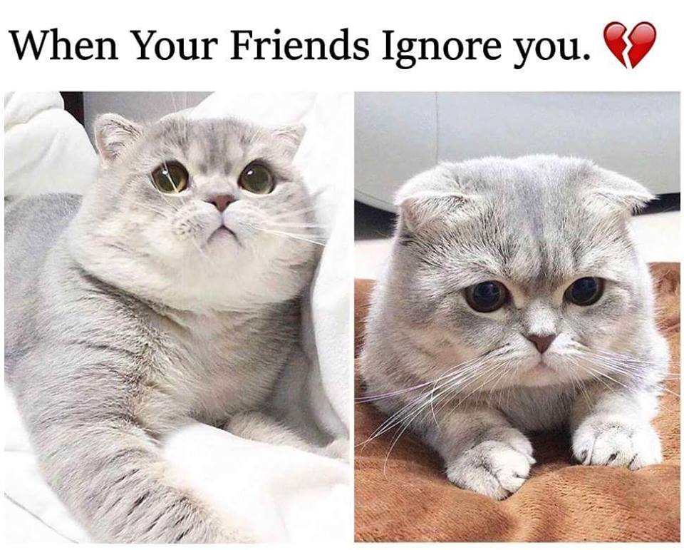When Your Friends Ignore You - Funny Images & Photos