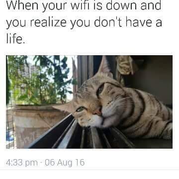 When Your Wifi Is Down