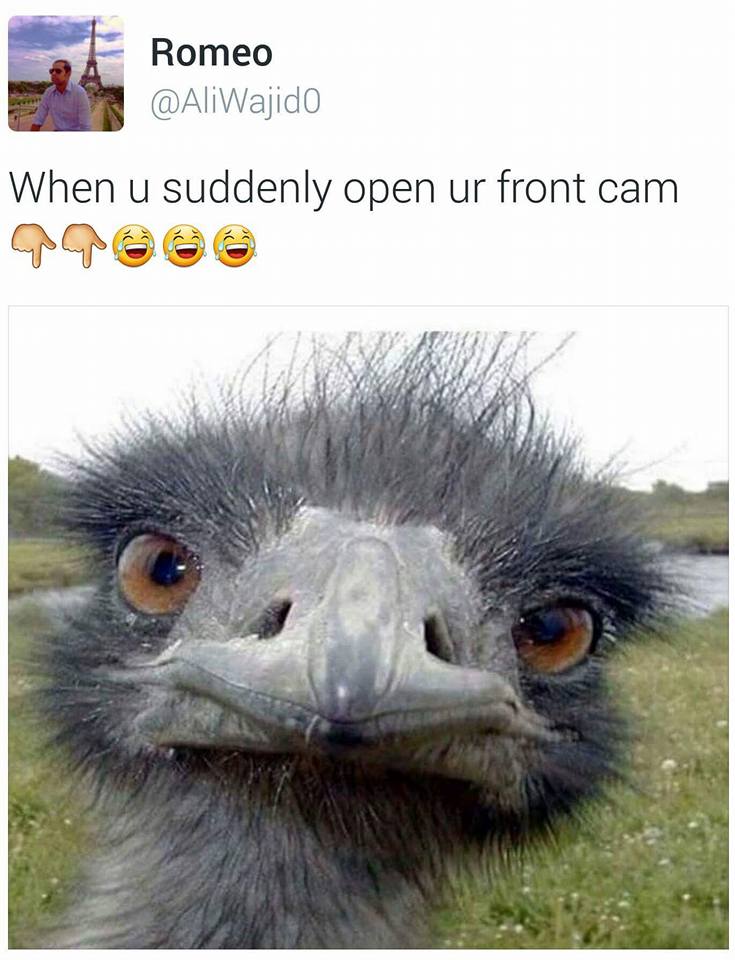 when-you-suddenly-open-your-front-cam-funny-images-photos