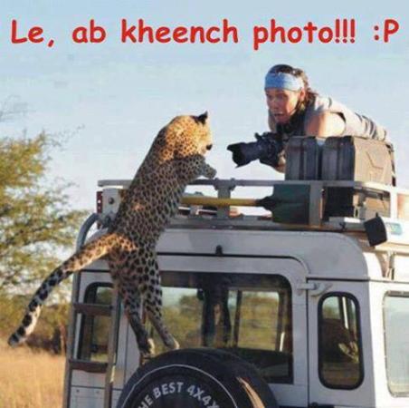 Wild Photography Goes Wrong