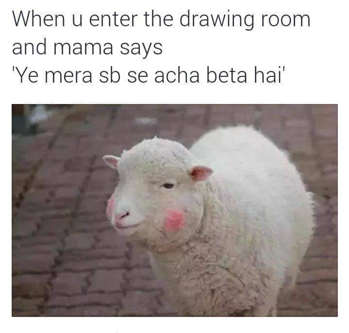 Yeh Mera Sab Say Acha Beta Hai