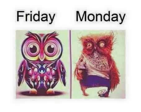 Your reaction on friday and monday