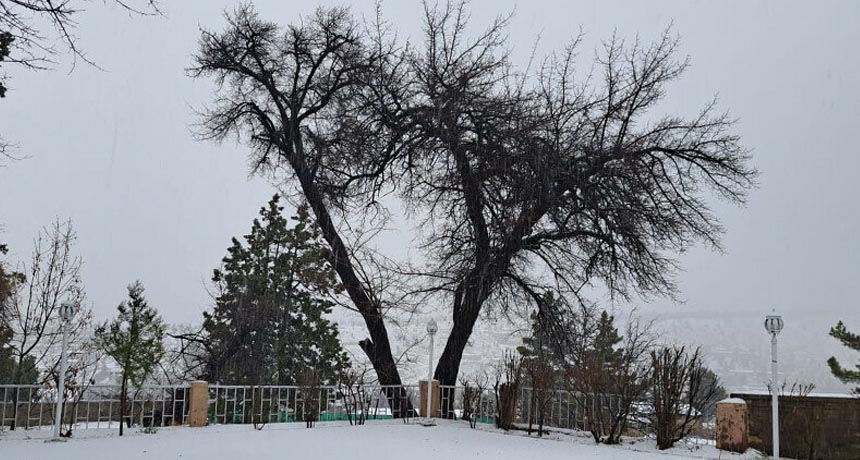 Ziarat Welcomed the First Snow of the Season