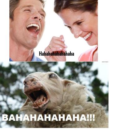 hahahaaa vs bahaahaahaa