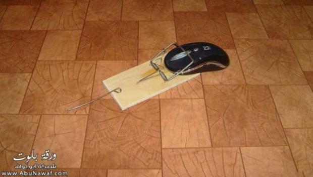 i cought a mouse