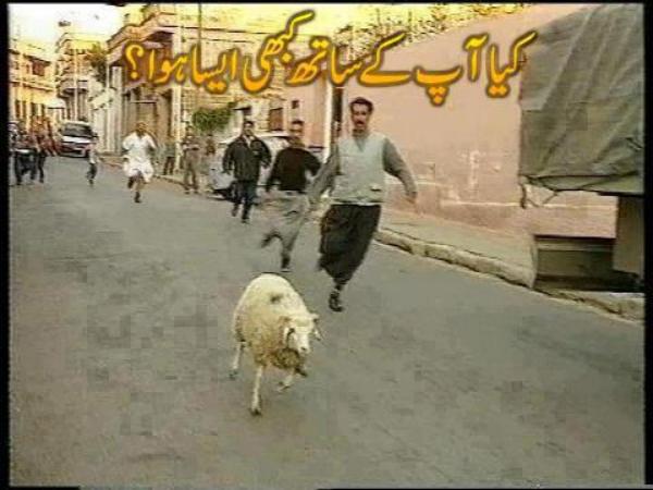 kya Aap Kay Bhi Aisa Huya Hai