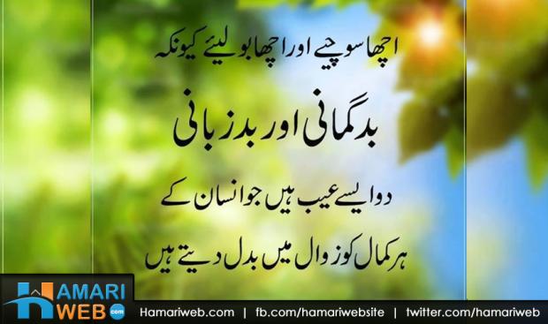 Badgumani Aur Bad Zubani