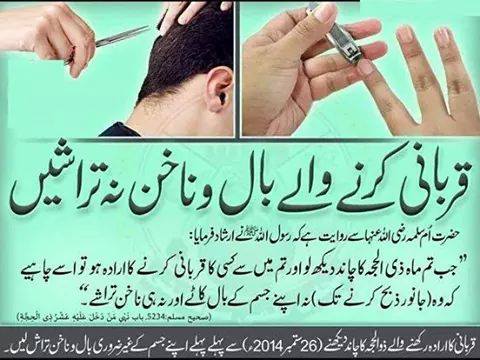 Hadith About Cutting Hairs and Nails before Qurbani - Islamic & Religious  Images & Photos