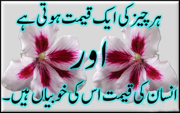 Insan Ki Kimat Is Ki Khoobiyan Hain