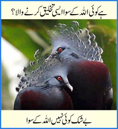 Ma Sha Allah........