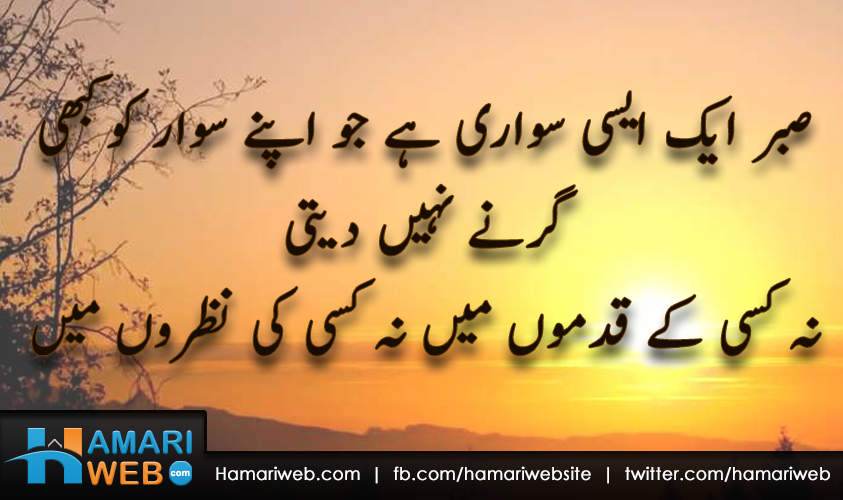 Quote About Patients