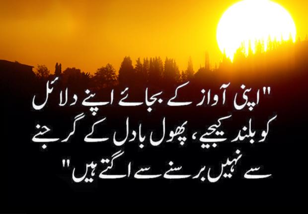 Raise Your Words Not Your Voice