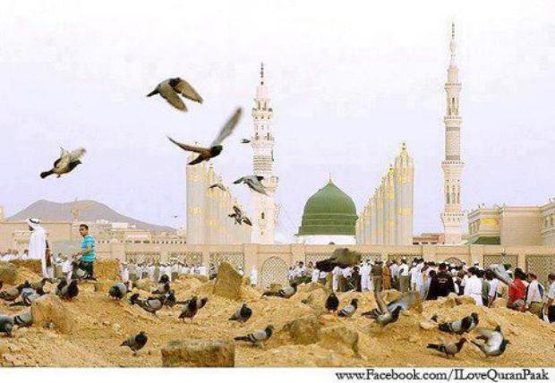 i love madina