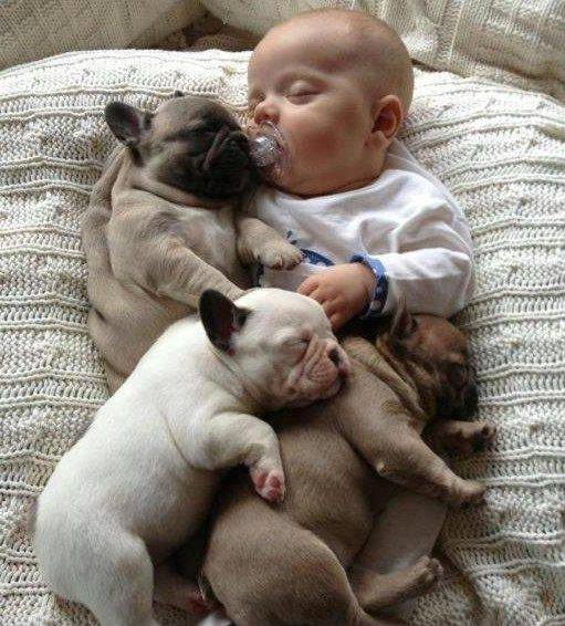 Baby with Baby Dogs