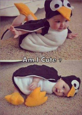Cutest Penguin Ever