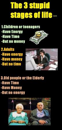 3 Stages of life...